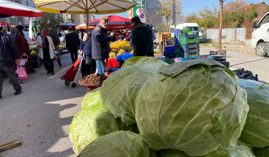 Eskişehir pazarında devasa lahanalar
