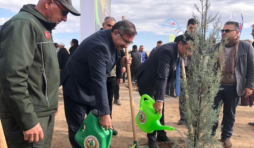 11 Kasım Milli Ağaçlandırma Günü'nde 20 bin fidan dikildi
