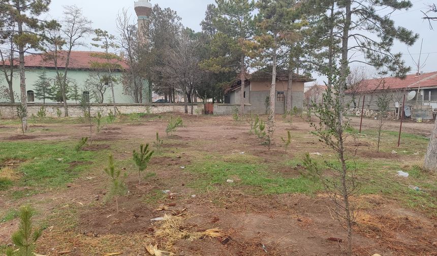 Umraniye köylüleri 300 adet fidanı okul ve camii bahçesine dikti