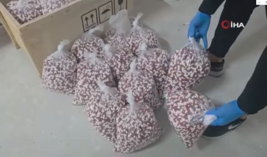 72 ilde 970 zehir taciri yakalandı