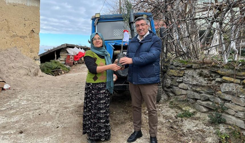 Eskişehir’de Zeytin Geleceğe Kök Salıyor