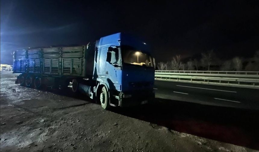 Bilecik'te seyir halinde talaş yüklü tır dorsesi alev aldı