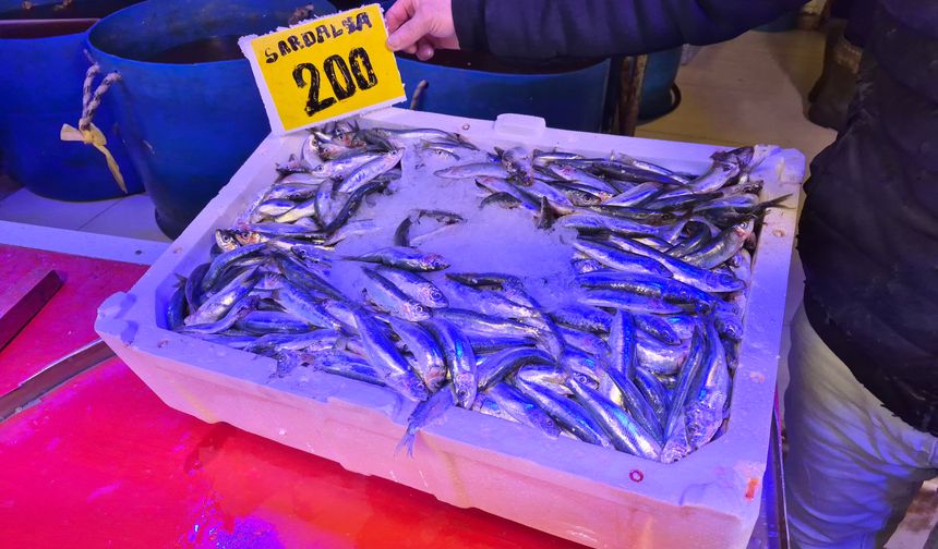 Bu sezon balık tezgahlarının gözdesi sardalya oldu