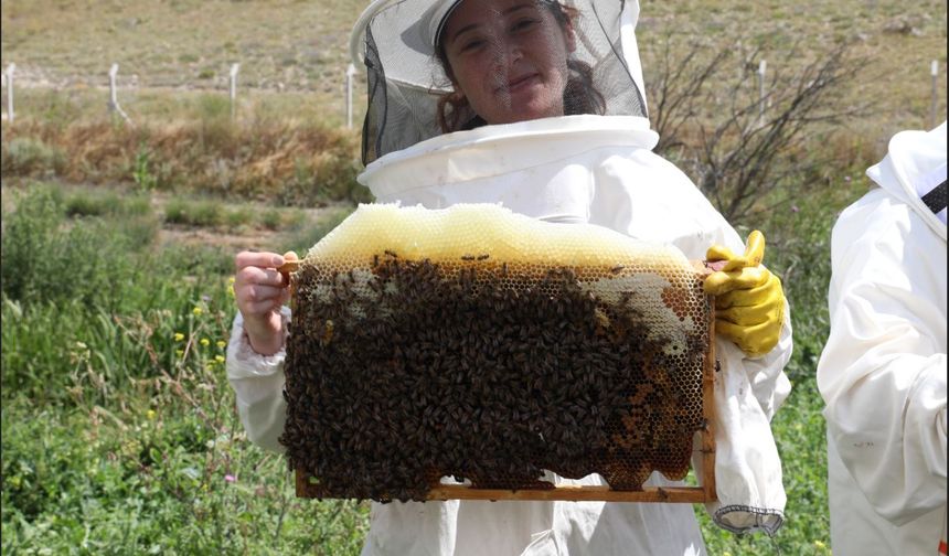 Arıköy Kayıtları Başlıyor