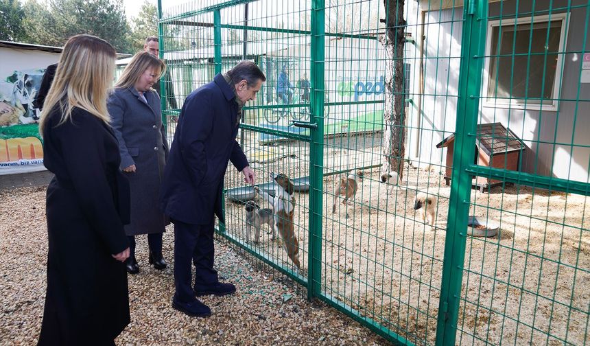Başkan Ataç Doğal Yaşam Merkezi’nde İncelemelerde Bulundu