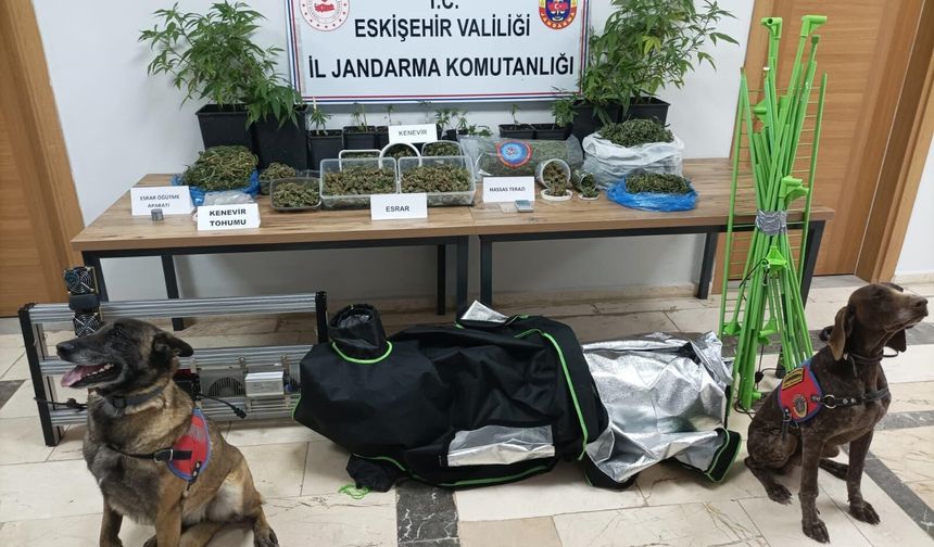 Eskişehir Jandarmasından Zehre Darbe