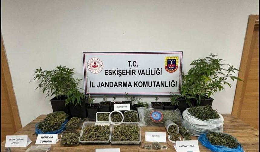 Ormanda uyuşturucu ticaretine jandarma engeli