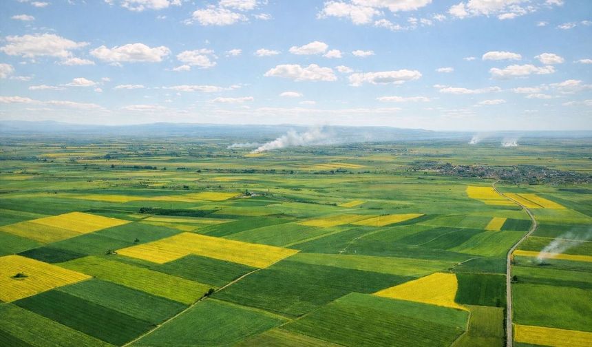 Tarım Arazilerinin Sanayi Amaçlı Kullanımına Mahkemeden "Dur" Kararı