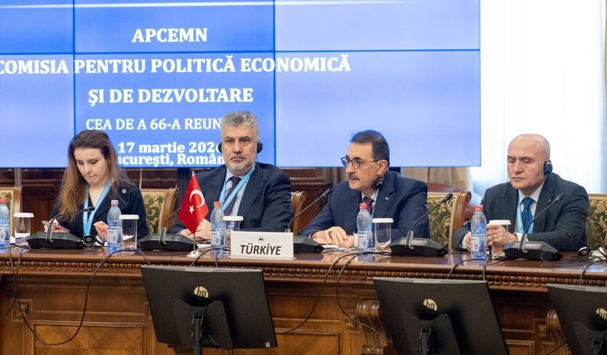 Bükres'te 66'ncı KEİPA Zirvesi