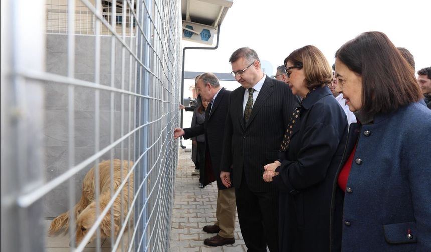 Eskişehir Büyükşehir Belediyesi Hayvan Bakımevi Açıldı