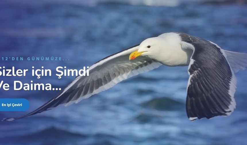 Tek Doğru Veri Kaynağı (Single Source of Truth) Nedir? Kurumsal Kararların Sağlam Zemini