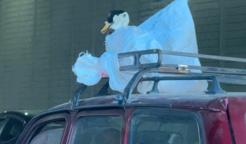 Aracın üzerindeki kazın ilginç yolculuğu