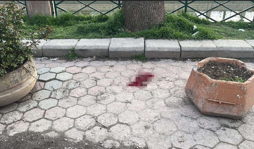 Eskişehir'de bıçaklı kavga: 1 yaralı