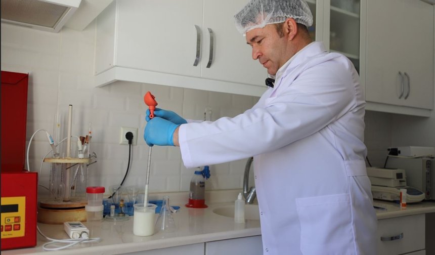 "Halk Süt" İle Sağlıklı Ekonomik Ve Güvenli Ürünler