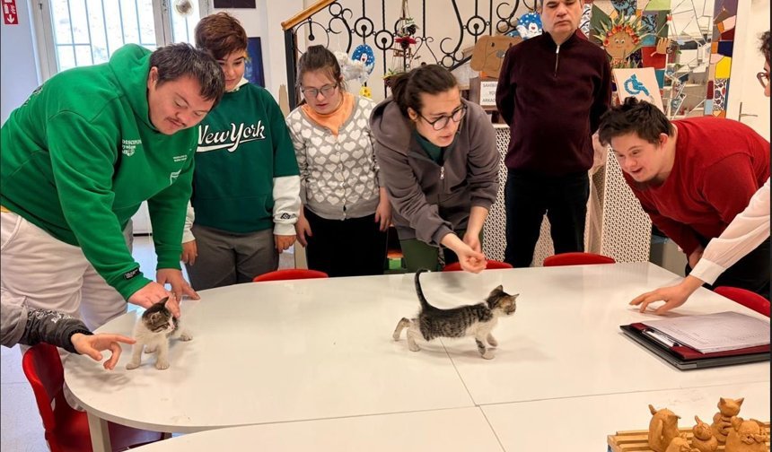 Özel Çocuklardan Sokak Hayvanlarına Sıcak Yuva