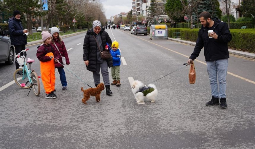 “Arabasız Pazar” İle Şehirde Sessiz Ve Temiz Bir Gün