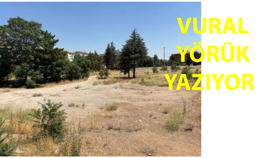 Kasabanın Havalı Şerifine Soruyoruz: Hangi Hastaneyi Biz Sattık?