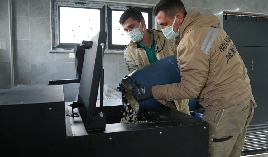 Atık Yemekler Can Dostlara Mama Oluyor