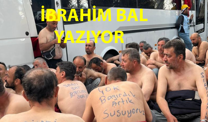 Sosyal Çürüme