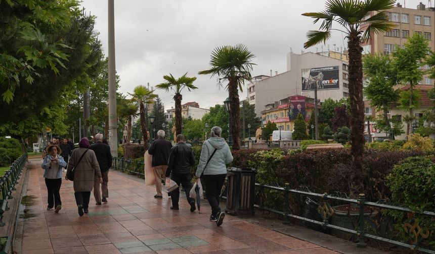 Köprübaşı Palmiyelerle Süslendi