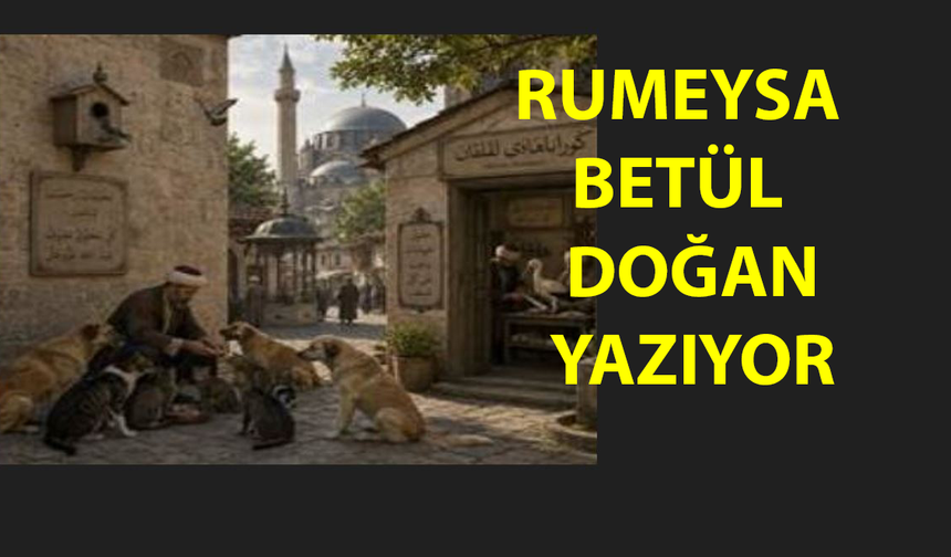 Osmanlı’da Hayvan Hakları