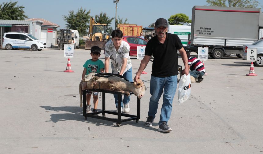 Odunpazarı’ndan Ücretsiz Ve Hijyenik Kurban Kesim Hizmeti