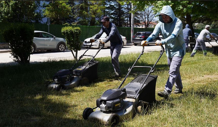 Tepebaşı’nda Parklarda Çim Biçme Çalışmaları Sürüyor
