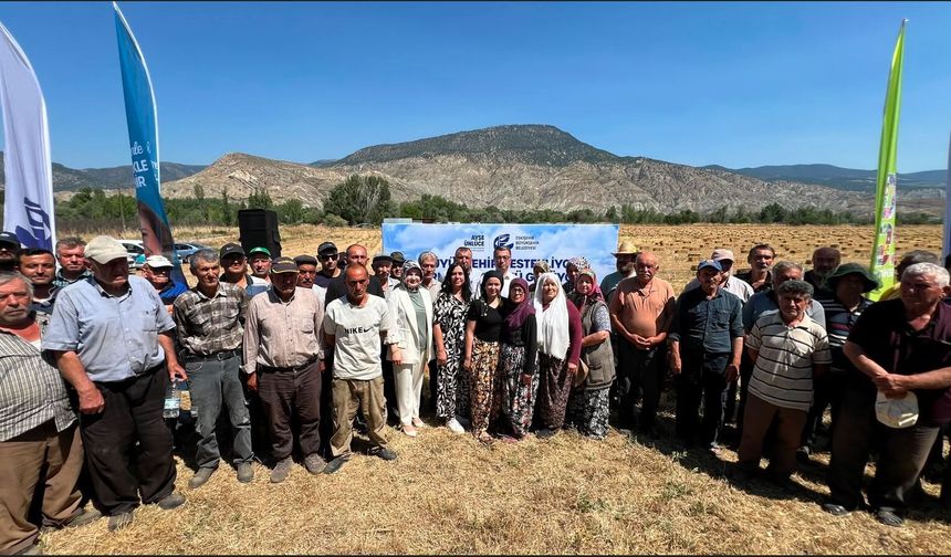 Büyükşehirden Üreticiye Yem Bitkisi Balyası Desteği