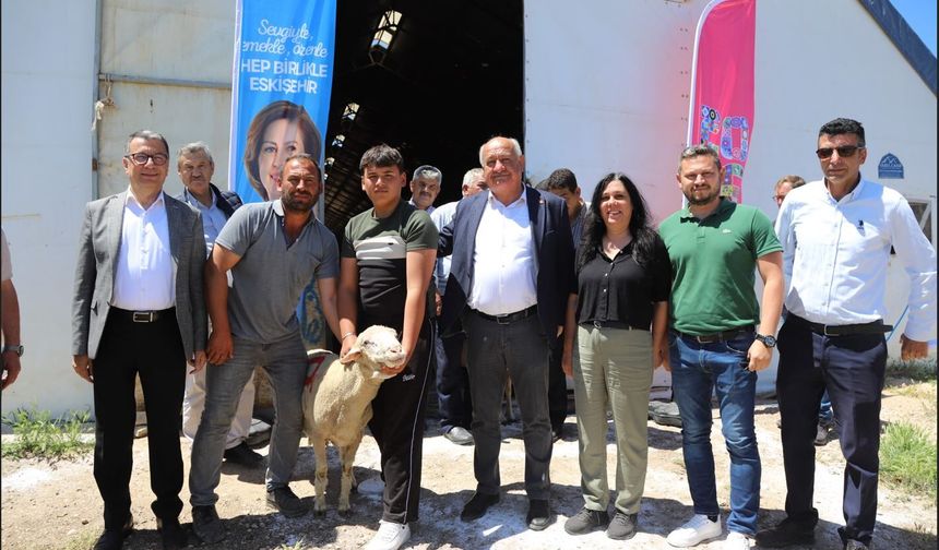 Üreticiye Can Suyu Damızlık Koçlar