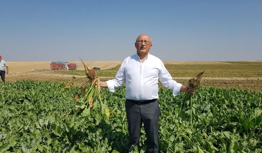 “Pancar üreticisi şirketlerin inisiyatifine bırakılamaz!”