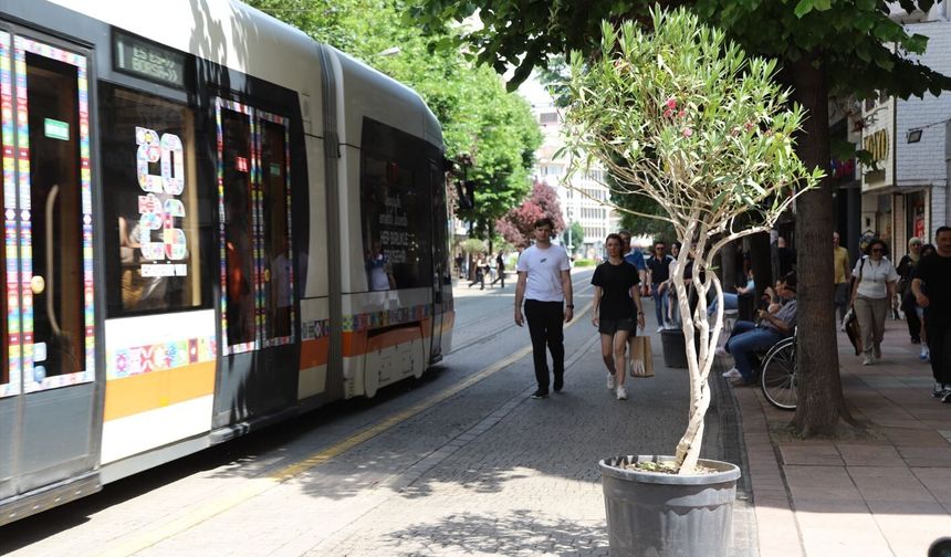 İsmet İnönü 1 Caddesi Zakkum Ağaçları İle Süslendi