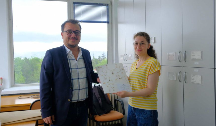 Anadolu Üniversitesinden dünya literatürüne iki yeni endemik tür