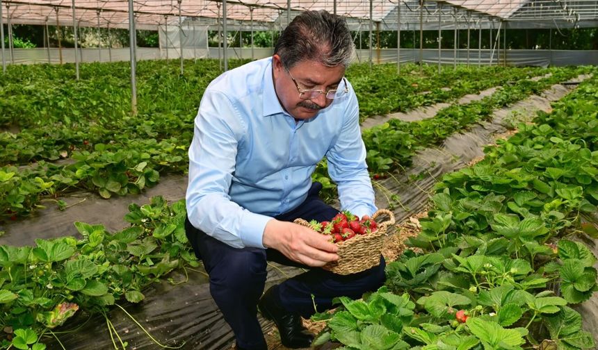 Vali Yılmaz Sarıcakaya'da Sera Üreticileriyle Buluştu.