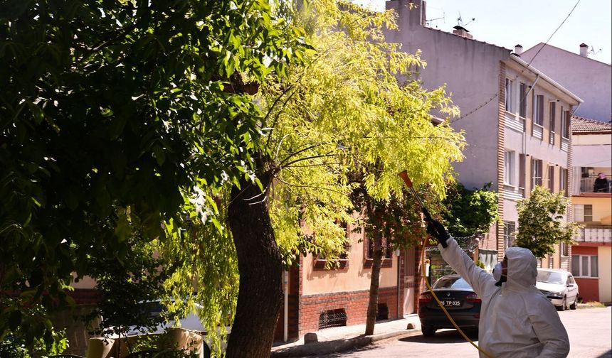 Tepebaşı'nda Parklar Daha Sağlıklı Yarınlara Hazırlanıyor