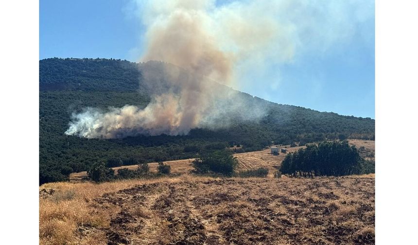 Mihalıççık'ta Büyük Yangın