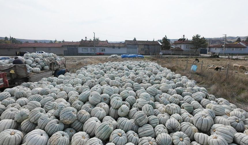Bal Kabağında Türkiye’nin İlk Çalıştayı Tepebaşı’nda