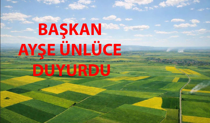 Altın-Gümüş Madeni Projesine “ÇED Gerekli Değildir” Kararı İptal Edildi