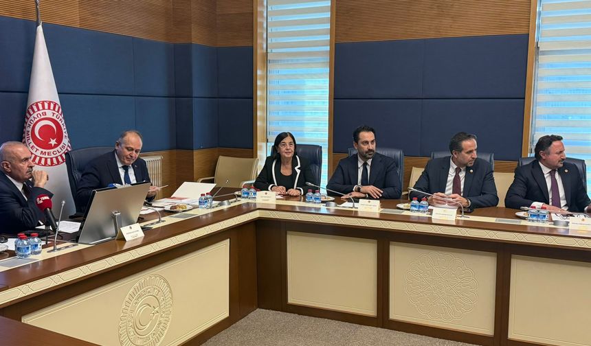 Süllü’den İktidara AB Çağrısı: “Önce Kendi Ev Ödevimizi Yapalım”