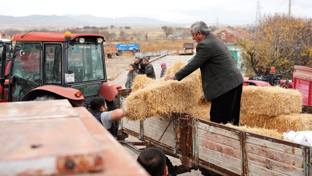 Büyükşehir’den hayvancılığa can suyu: Ücretsiz dağıtılacak
