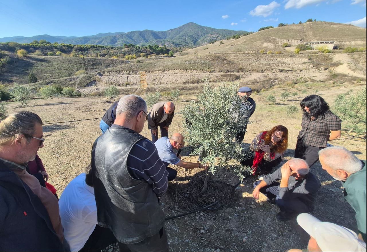 Büyükşehirden Zeytin Üreticilerine Uygulamalı Eğitim